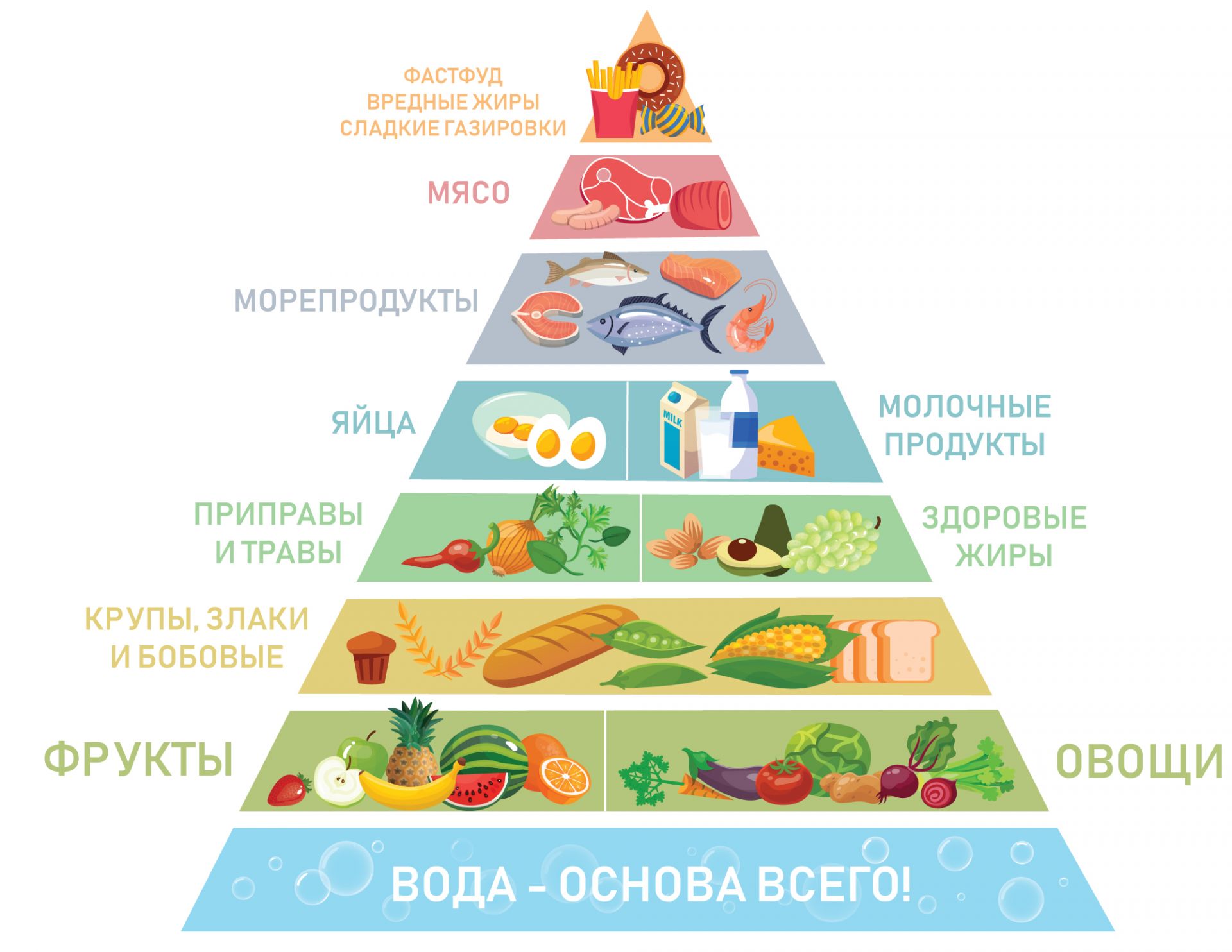 Основы здорового питания 2024 ответы. Пищевая пирамида Уолтера виллетта. Пищевая пирамида 5 класс технология дневной рацион. Пирамида правильного питания MYPYRAMID. Пирамида рационального питания схема.